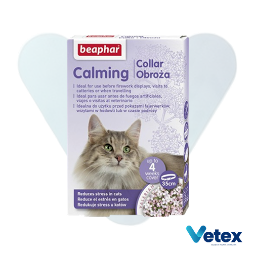 Calming Collar Cat