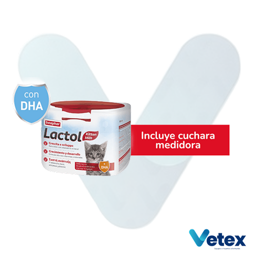 Lactol Kitten Milk