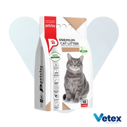 cat-arena-vainilla